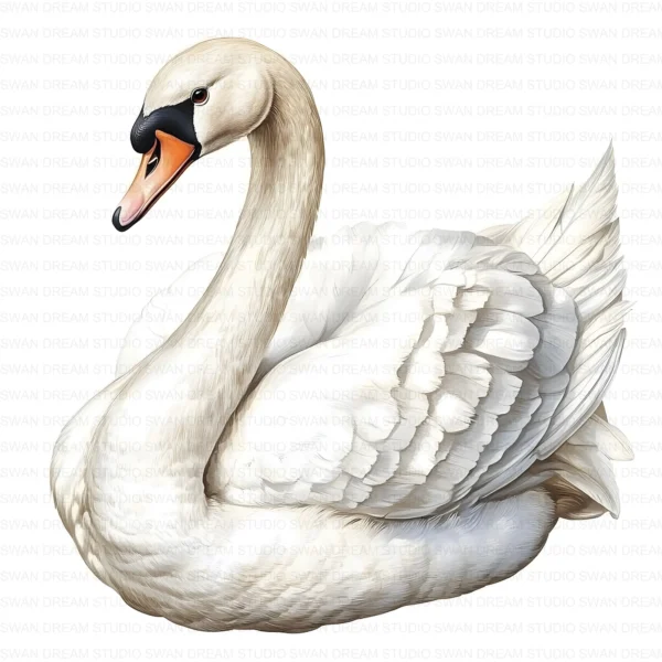 White Swan Elegant Bird Nature Clipart Bundle Printable JPG Card Making Paper Craft Junk Journal Scrapbooking Digital Download