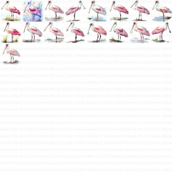 Spoonbill Bird Pink Wading Wildlife Clipart Bundle Printable JPG Card Making Paper Craft Junk Journal Scrapbooking Digital Download