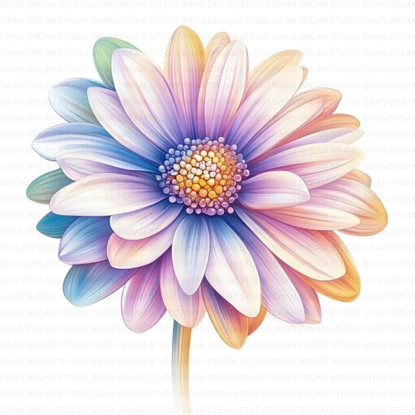 Boho Daisy Flower Whimsical Floral Clipart Bundle Printable JPG Card Making Paper Craft Junk Journal Scrapbooking Digital Download