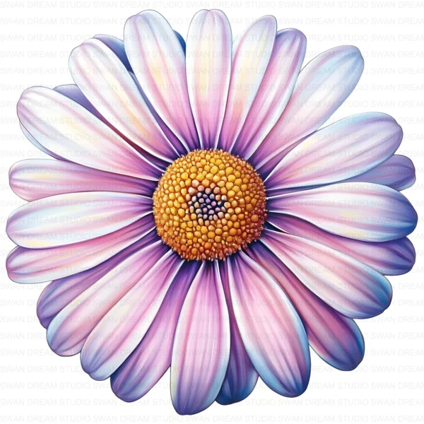 Boho Daisy Flower Whimsical Floral Clipart Bundle Printable JPG Card Making Paper Craft Junk Journal Scrapbooking Digital Download