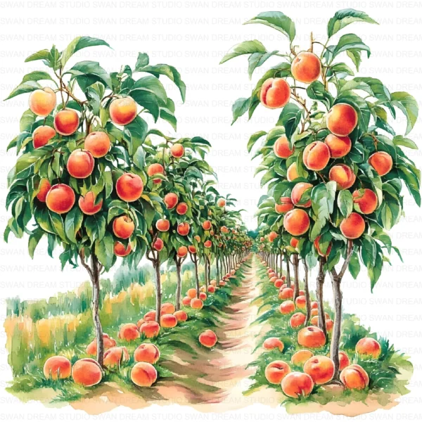 Peach Orchard Fruit Farm Landscape Clipart Bundle Printable JPG Card Making Paper Craft Junk Journal Scrapbooking Digital Download