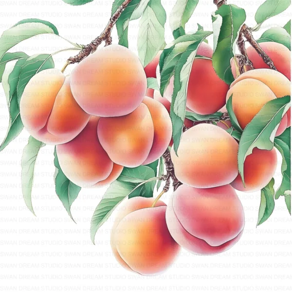 Peach Orchard Fruit Farm Landscape Clipart Bundle Printable JPG Card Making Paper Craft Junk Journal Scrapbooking Digital Download