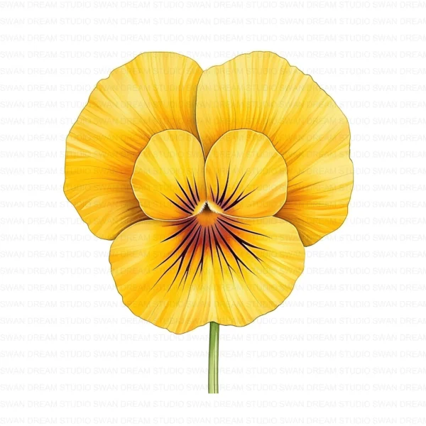 ClipartD37L_t10 Whimsical Pansy Flower Botanical Clipart Bundle Printable JPG Card Making Paper Craft Junk Journal Scrapbooking Digital Download