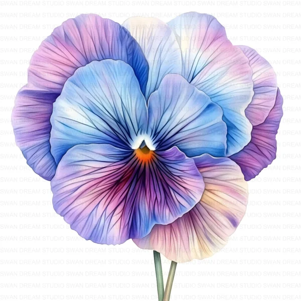 ClipartD37L_t2 Whimsical Pansy Flower Botanical Clipart Bundle Printable JPG Card Making Paper Craft Junk Journal Scrapbooking Digital Download