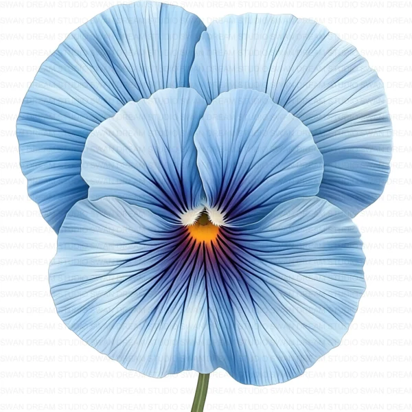 ClipartD37L_t3 Whimsical Pansy Flower Botanical Clipart Bundle Printable JPG Card Making Paper Craft Junk Journal Scrapbooking Digital Download