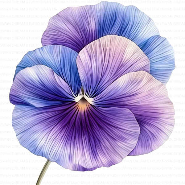 ClipartD37L_t4 Whimsical Pansy Flower Botanical Clipart Bundle Printable JPG Card Making Paper Craft Junk Journal Scrapbooking Digital Download