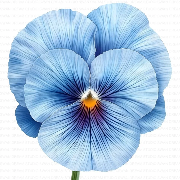 ClipartD37L_t5 Whimsical Pansy Flower Botanical Clipart Bundle Printable JPG Card Making Paper Craft Junk Journal Scrapbooking Digital Download