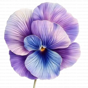 ClipartD37L_t9 Whimsical Pansy Flower Botanical Clipart Bundle Printable JPG Card Making Paper Craft Junk Journal Scrapbooking Digital Download