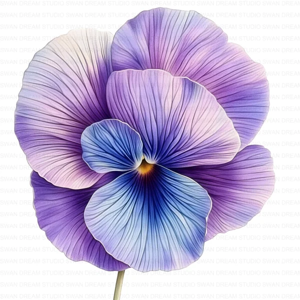 ClipartD37L_t9 Whimsical Pansy Flower Botanical Clipart Bundle Printable JPG Card Making Paper Craft Junk Journal Scrapbooking Digital Download