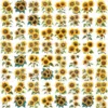 Whimsical Sunflower Bright Floral Clipart Bundle Printable JPG Card Making Paper Craft Junk Journal Scrapbooking Digital Download