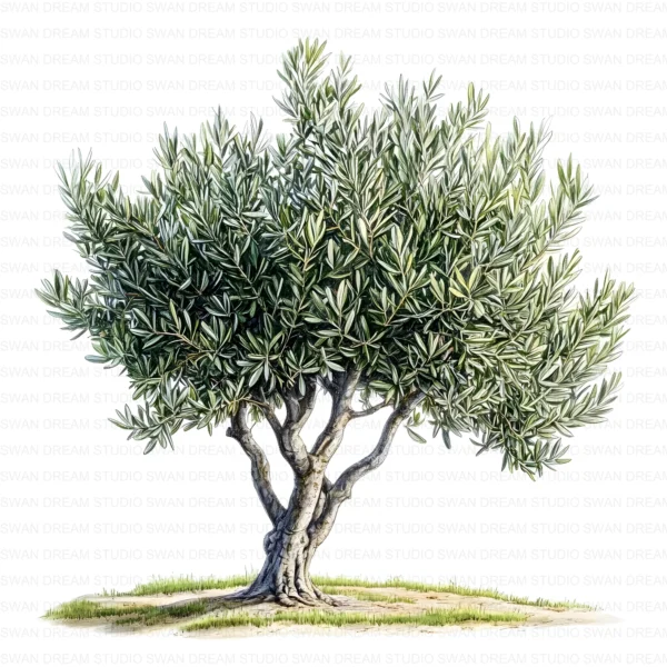 ClipartD5L_t1 Oak Tree Nature Woodland Botanical Clipart Bundle Printable JPG Card Making Paper Craft Junk Journal Scrapbooking Digital Download