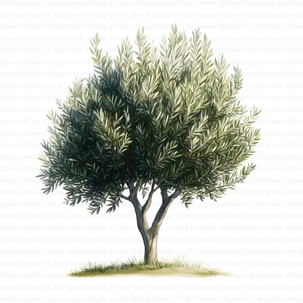 ClipartD5L_t2 Oak Tree Nature Woodland Botanical Clipart Bundle Printable JPG Card Making Paper Craft Junk Journal Scrapbooking Digital Download