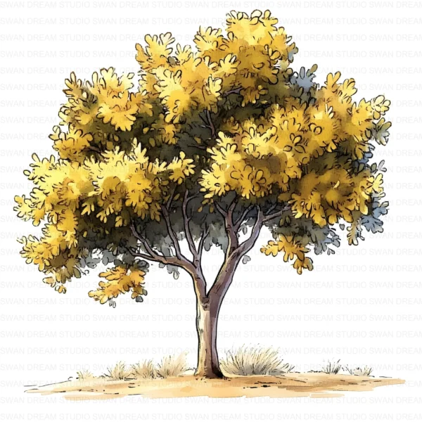 ClipartD5L_t3 Oak Tree Nature Woodland Botanical Clipart Bundle Printable JPG Card Making Paper Craft Junk Journal Scrapbooking Digital Download