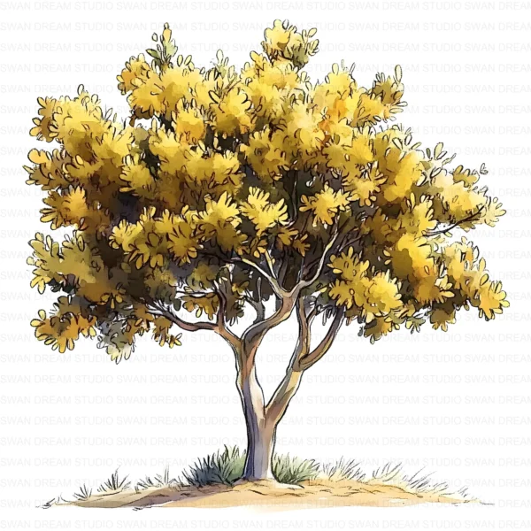 ClipartD5L_t5 Oak Tree Nature Woodland Botanical Clipart Bundle Printable JPG Card Making Paper Craft Junk Journal Scrapbooking Digital Download