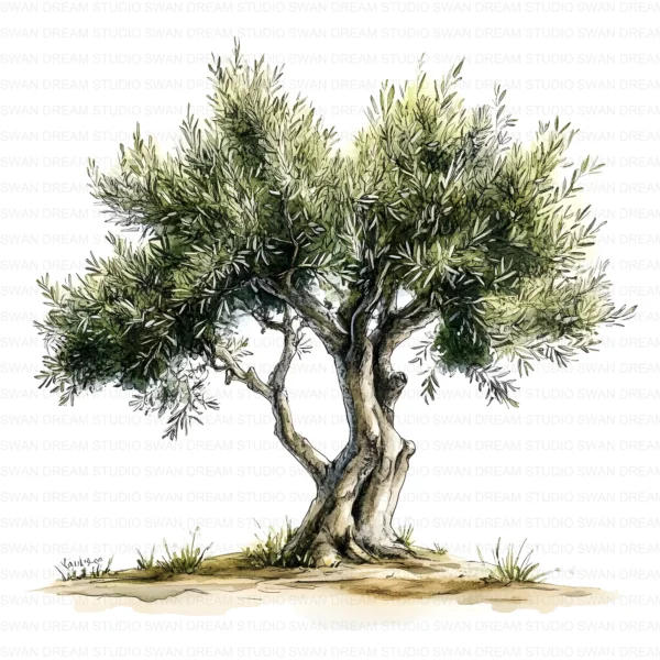 ClipartD5L_t6 Oak Tree Nature Woodland Botanical Clipart Bundle Printable JPG Card Making Paper Craft Junk Journal Scrapbooking Digital Download