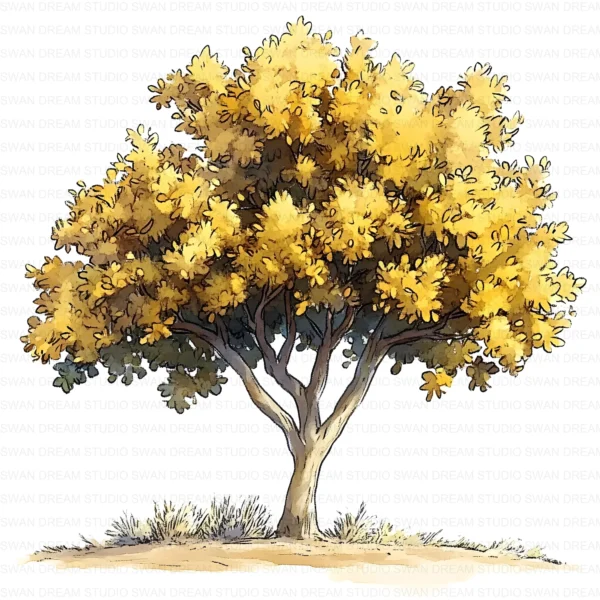 ClipartD5L_t8 Oak Tree Nature Woodland Botanical Clipart Bundle Printable JPG Card Making Paper Craft Junk Journal Scrapbooking Digital Download