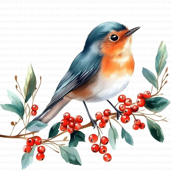 Christmas Robin Bird Holiday Winter Clipart Bundle Printable JPG Card Making Paper Craft Junk Journal Scrapbooking Digital Download