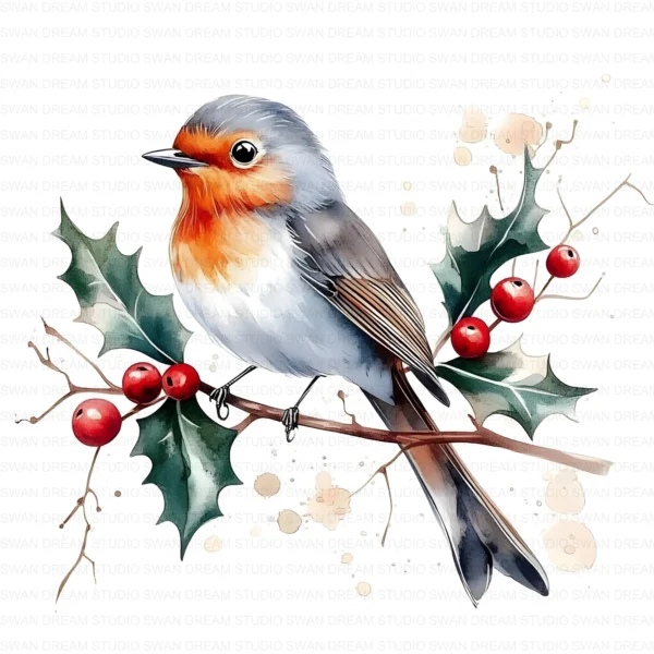 Christmas Robin Bird Holiday Winter Clipart Bundle Printable JPG Card Making Paper Craft Junk Journal Scrapbooking Digital Download