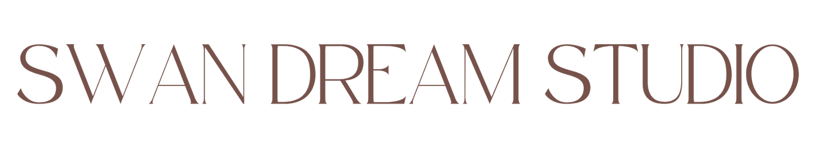 Swan Dream Studio